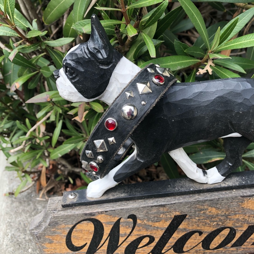 Paco collar-xdog